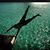 Rich Cording's profile image