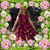 Carey Cooper's profile image