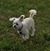 Jane Heppner's profile image