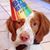 Marsha Welborn's profile image
