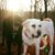 Amy Guernsey-Youngblood's profile image