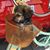 Barbara Stevens Mullins's profile image