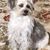 Carol Vance's profile image