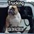 Bryan Dusch's profile image