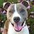 Lori Sherrer's profile image