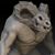 Charles Vitale's profile image