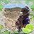 Mela Love's profile image