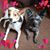 Jennifier Thompson's profile image
