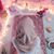 Dina AL-shani S's profile image