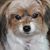 Vicki Caillouette's profile image