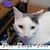 Tim Noyce's profile image