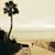 Rhetta Dawson's profile image
