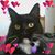 Lena T. Allison's profile image