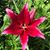 Teresa Brown's profile image
