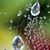 Mary Pickens's profile image