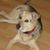 Teresa Gray's profile image