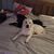 Sharon Elizabeth Denvir's profile image