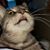 Jim Gatlin's profile image