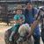 Emily Adams Witczak's profile image