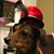 Angie Sutphen's profile image