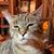 Patty Byrd's profile image