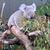 Denise Comfort's profile image