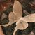 Sydney Lesley's profile image