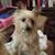 Donna Hembree Meade Stergiou's profile image
