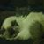 Jeremy Kuharchek's profile image