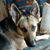 Doreen Raykovich's profile image