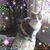Georgia Wirth's profile image