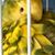 Patricia Flores-Pena's profile image