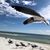 Sandy Gann McKinney's profile image