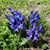 Kathy Loftus-Marek's profile image