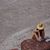 Ale Salido's profile image