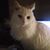 Donna Wilson's profile image
