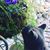 Mary Loree Rini's profile image