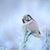 Ann Marie Davis's profile image