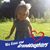 Mary Emily Gibson Lamb's profile image