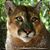 Susan Teays's profile image