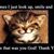 Connie Bulkley's profile image