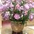 Linda Agerty's profile image