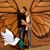 Scott Ward's profile image
