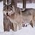 Michael Wolf's profile image