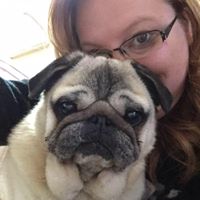 Ashley Dodge's profile image