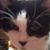 Gary Cartwright's profile image