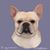 Bev Robinson's profile image