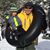 Shane Sutton's profile image