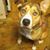 Jennifer Burrow's profile image