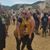 Mirna Lundes's profile image